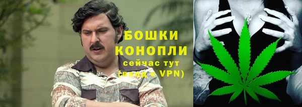Альфа ПВП Корсаков