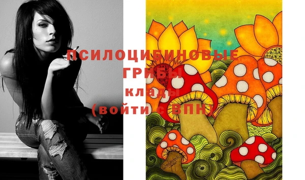 бошки Костерёво