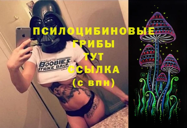 бошки Костерёво