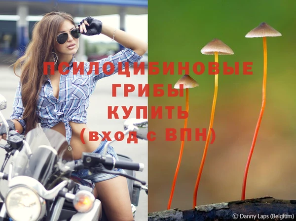 бошки Костерёво