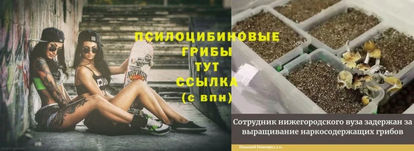Альфа ПВП Корсаков