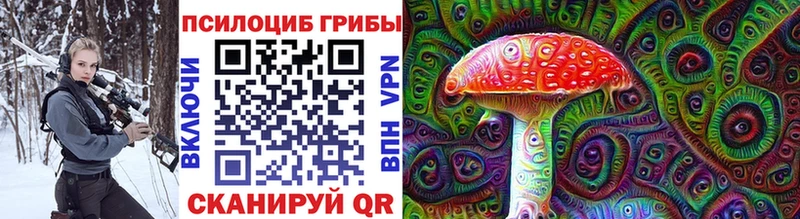 darknet состав  Артём  Псилоцибиновые грибы мицелий 
